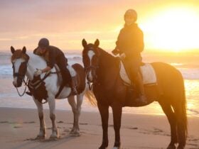 Two horse riders on a beach at sunset with the sun behind their backs.