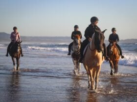 Four horse riders in the shallows of a beach wave.