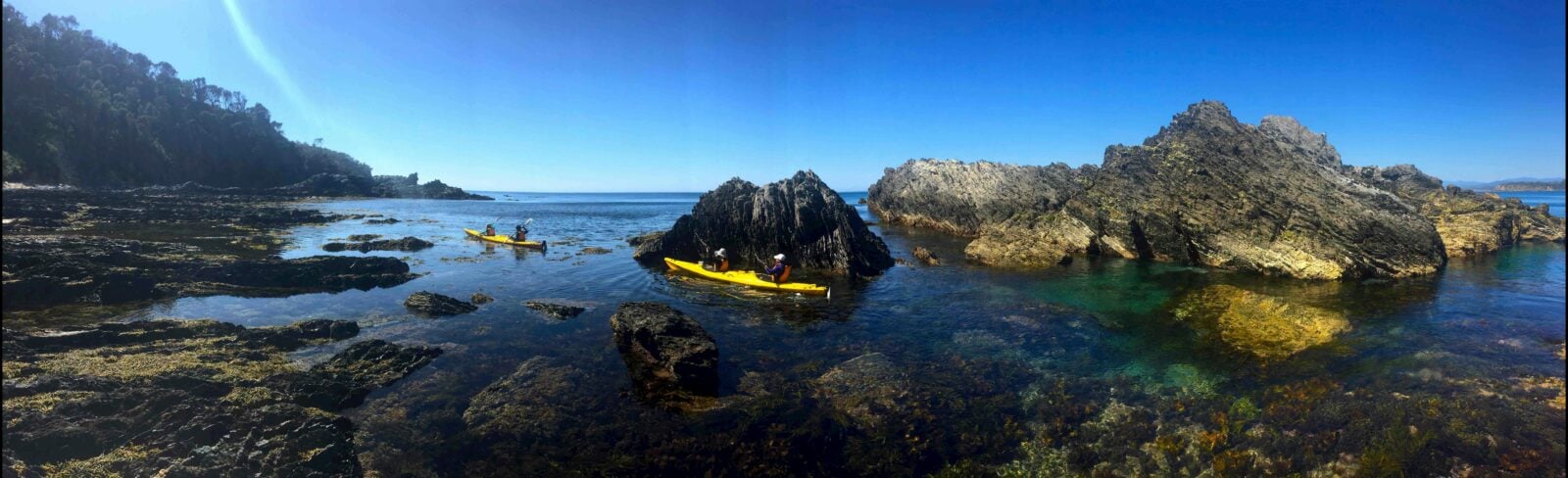 Guerrilla Bay Tour Region X BATEMANS BAY