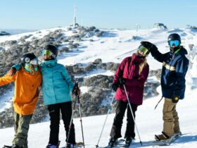 Wagga to Selwyn snow trips