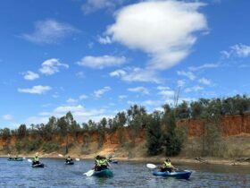 Sunny day on Narrandera