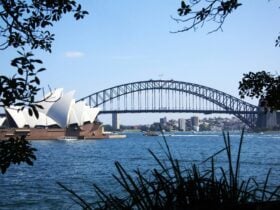 Sydney Opera House and Harbour Bridge from Mrs Macquaries Chair