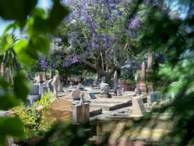 Field of Mars Cemetery