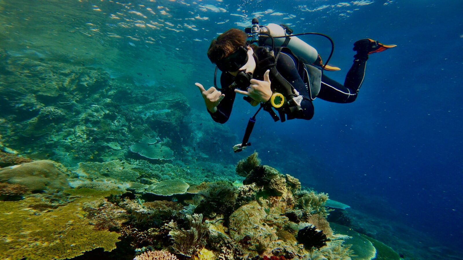 Sapphire Coast Scuba