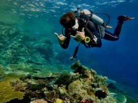 Sapphire Coast Scuba