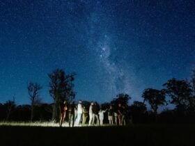 Scribbly Farm nocturnal guided night walk under the stars