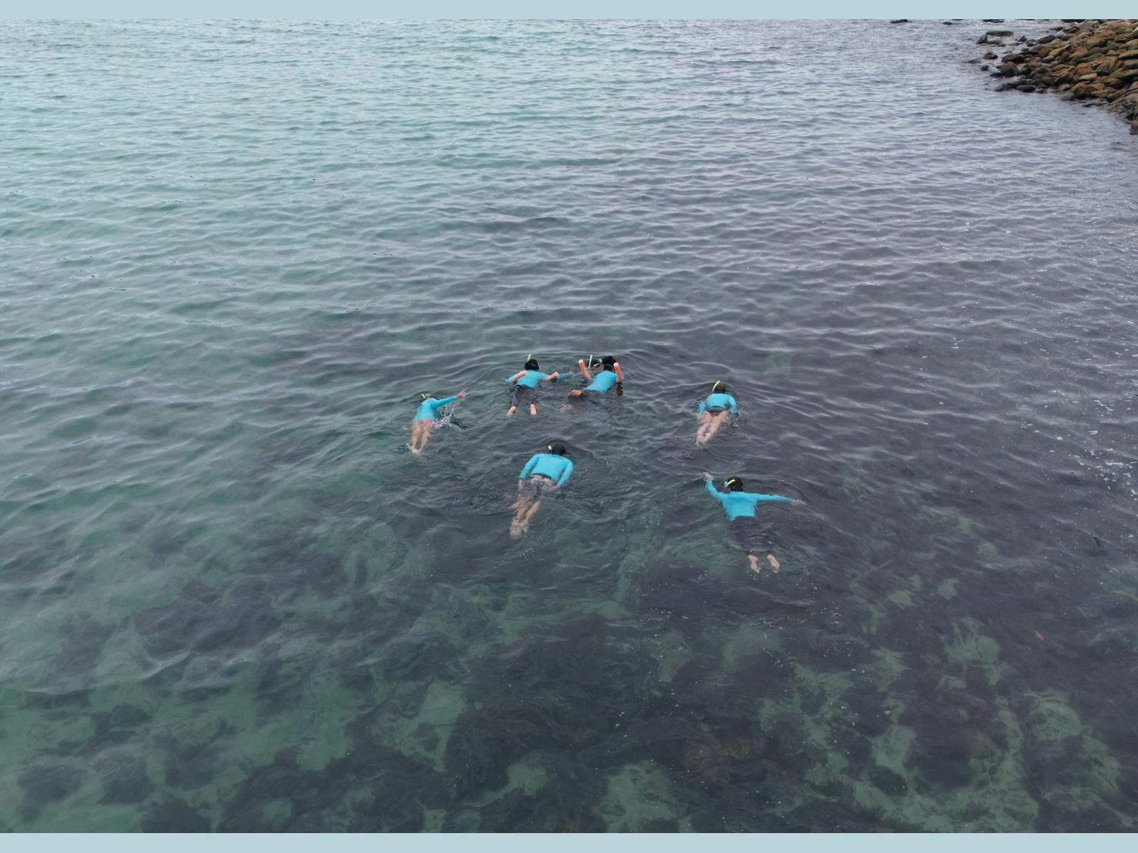 Group of snorkelers in blue rash vests exploring shallow reef waters near rocks