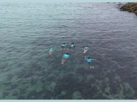 Group of snorkelers in blue rash vests exploring shallow reef waters near rocks