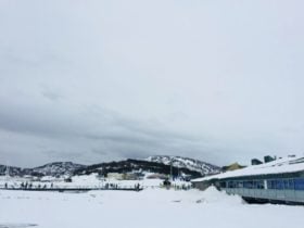 perisher-snowsearch