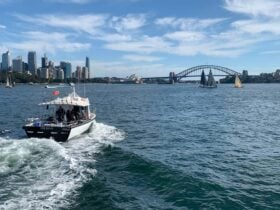 Sydney Charter Fishing tours