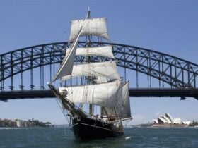 Sydney Harbour Tall Ships