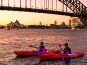 Two people paddling at sunrise with the Sydney Harbour bridge and Opera house with a golden glow
