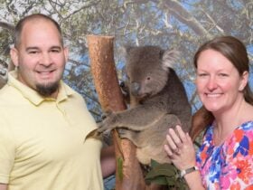Sydney Private Day Tours