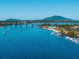 Aerial view of Tea Gardens