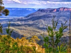 Blue Mountains long shot