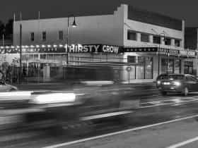 Thirsty Crow