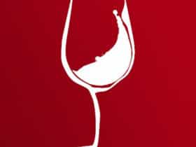 Vines and Wines