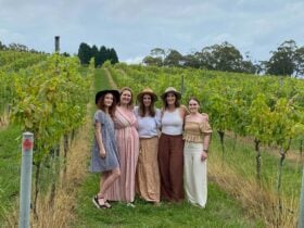 Vino Rosso Tours Spring Tour