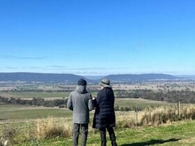 Tour members looking out at the Murringo Gap at Touts Lookout.