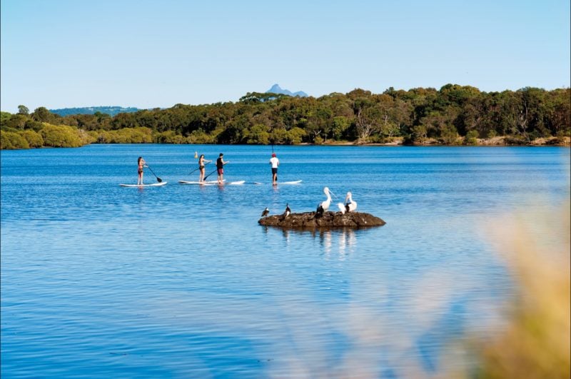 SUP with Mt. Warning