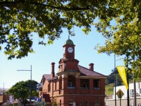 Discover Picton Walking Tours