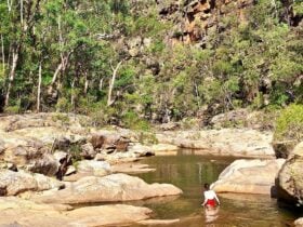 A girl swims through shallow water among the eucalypts and cliffs in the Blue Mountains