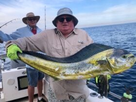 Mahi Mahi with Yamba Fishing and Charters