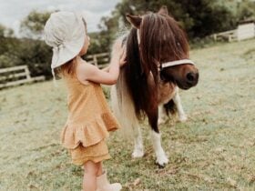 A young girl gently petting a small, friendly miniature horse outdoors