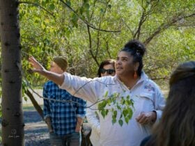 Indigenous women holding a branch of leaves, pointing to the tree that is identified to the leaves