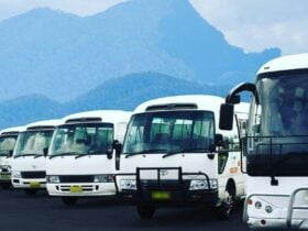 Bus fleet with Wollumbin (Mt Warning) in background