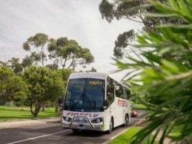 Firefly Express Coach