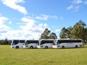 Grace Coaches