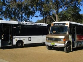 Newcastle Party Bus