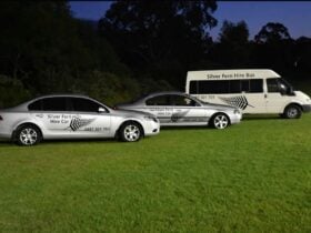 2 cars & bus