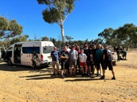 Get the crew together