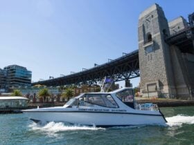 white water taxi boat