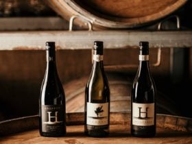 Hollydene Estate Wines and Vines Restaurant