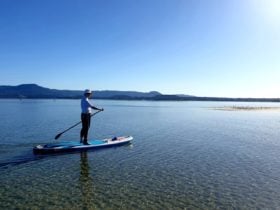 Stand Up Paddle Boarding Shellharbour