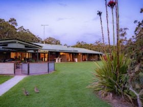 Waterfall Springs Retreat and wildlife Sanctuary