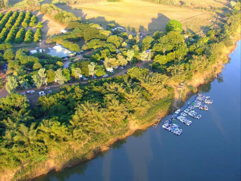 Aerial of banyan farm