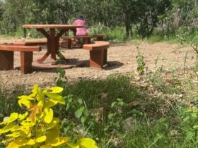 Berry Springs Park and Stay