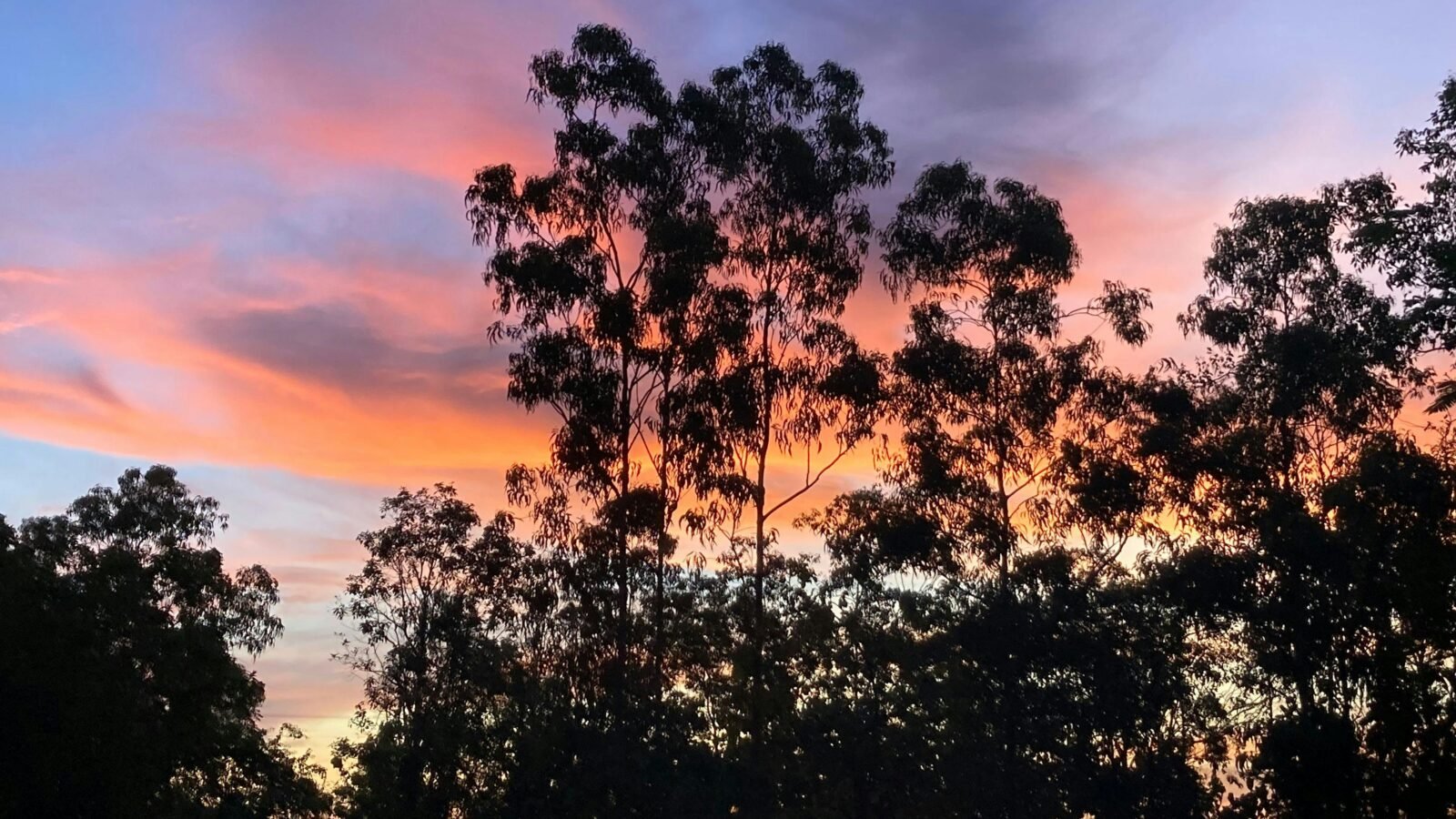 Camp Bundaleer on Kakadu Doorstep