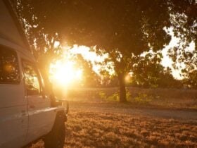 Sunset views