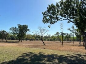 Leichhardt Arena Farm Stay