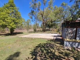 Mo's Bush Camp