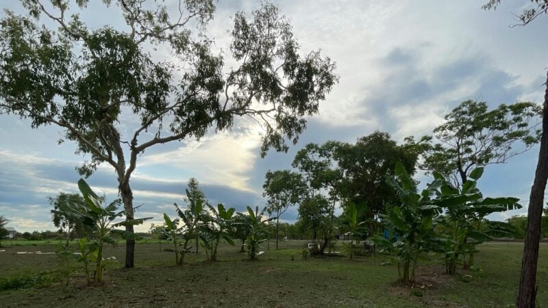 Williams family farm