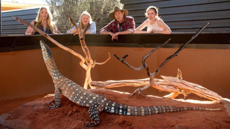 Alice Springs Reptile Centre has the largest collection of reptilian life in Central Australia