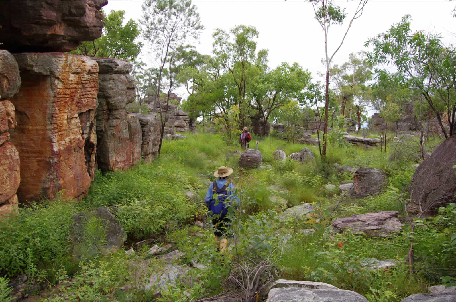Barrk Sandstone Bushwalk
