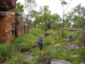 Barrk Sandstone Bushwalk