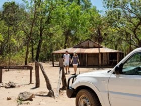 A couple exploring Blyth Homestead